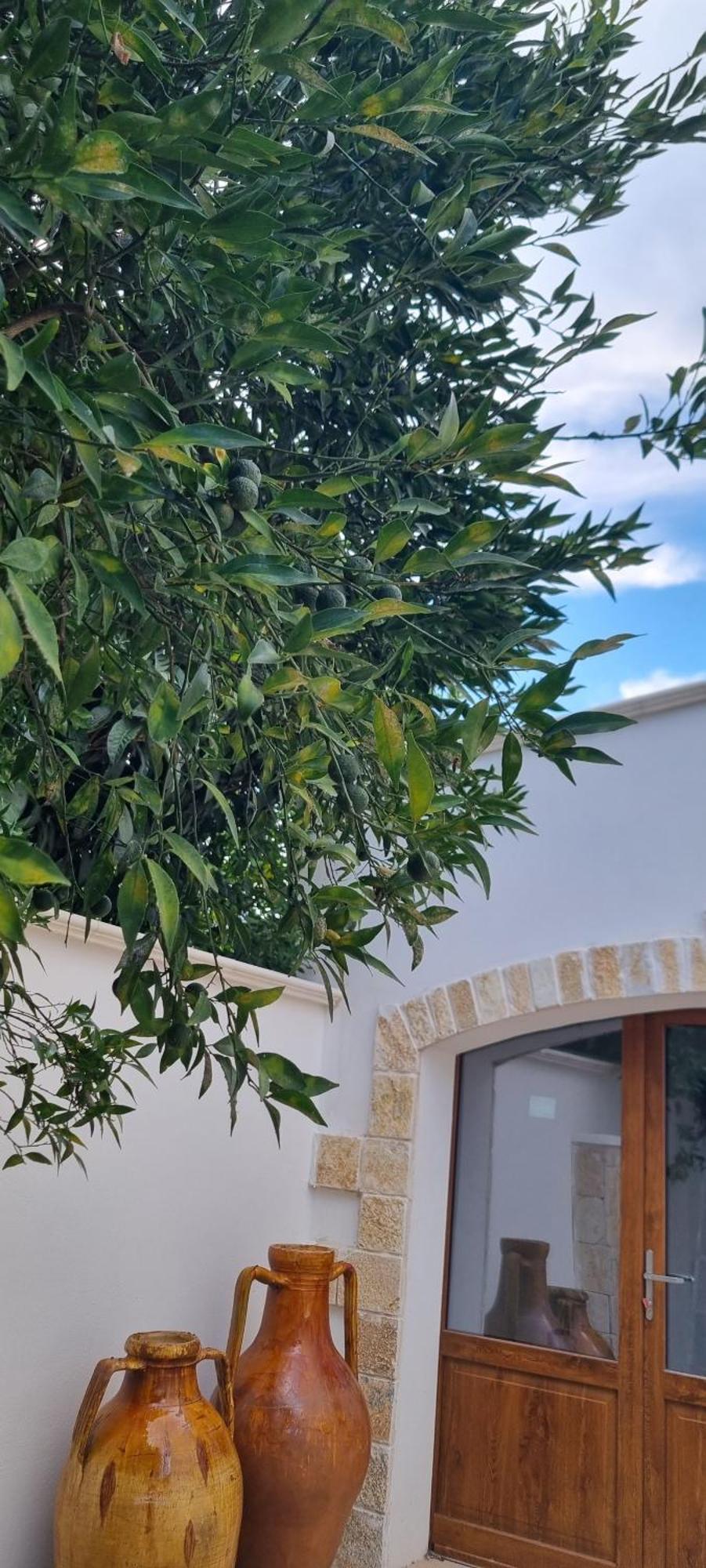Villa Guajira Bari Luaran gambar